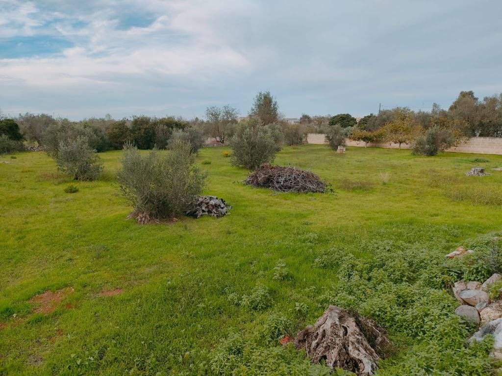 Terreno a Neviano in Strada Comunale di Tuglie - Foto 4