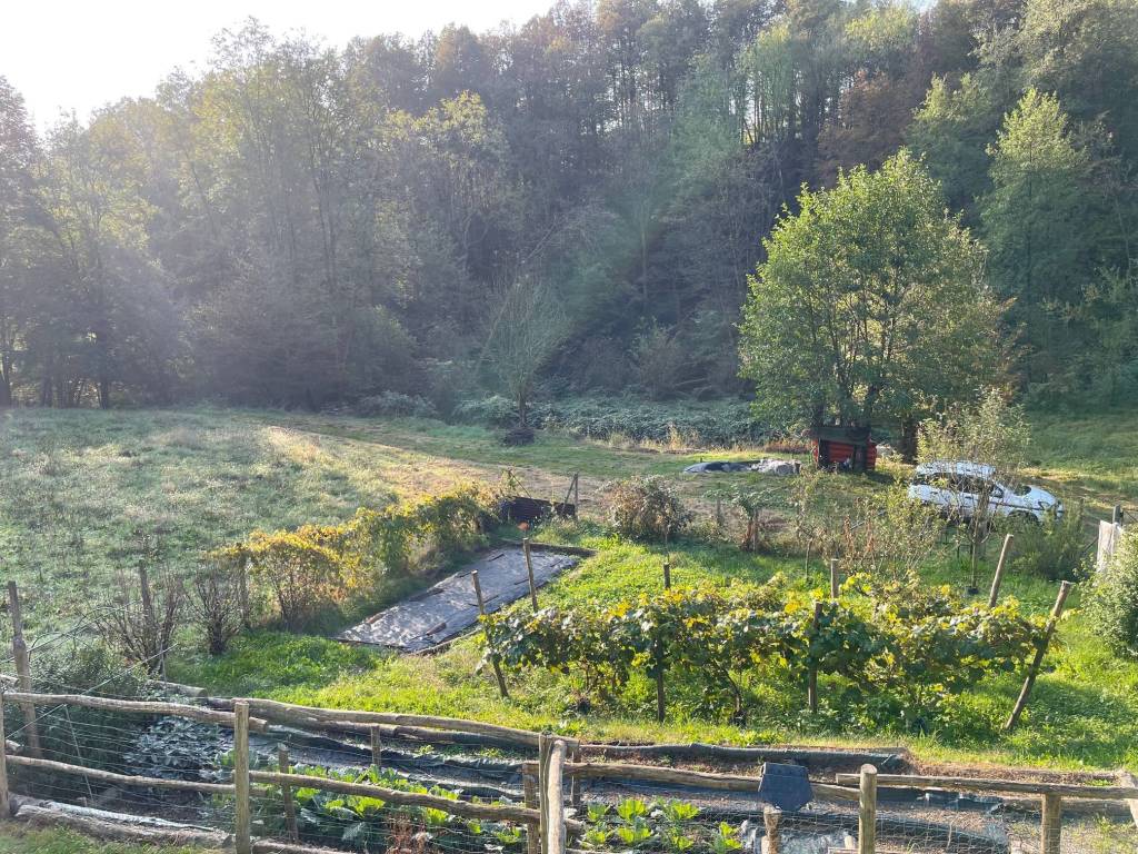 Terreno a Pray in Via Crevacuore - Foto 3