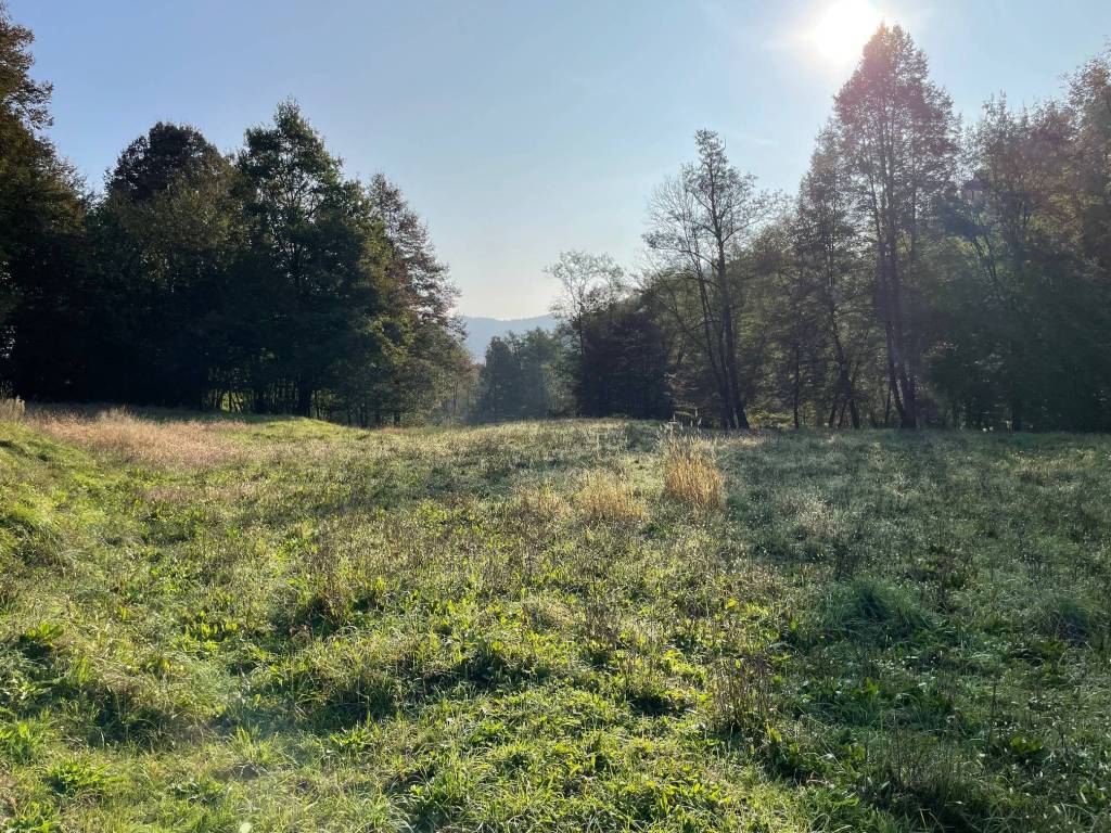 Terreno a Pray in Via Crevacuore - Foto 5