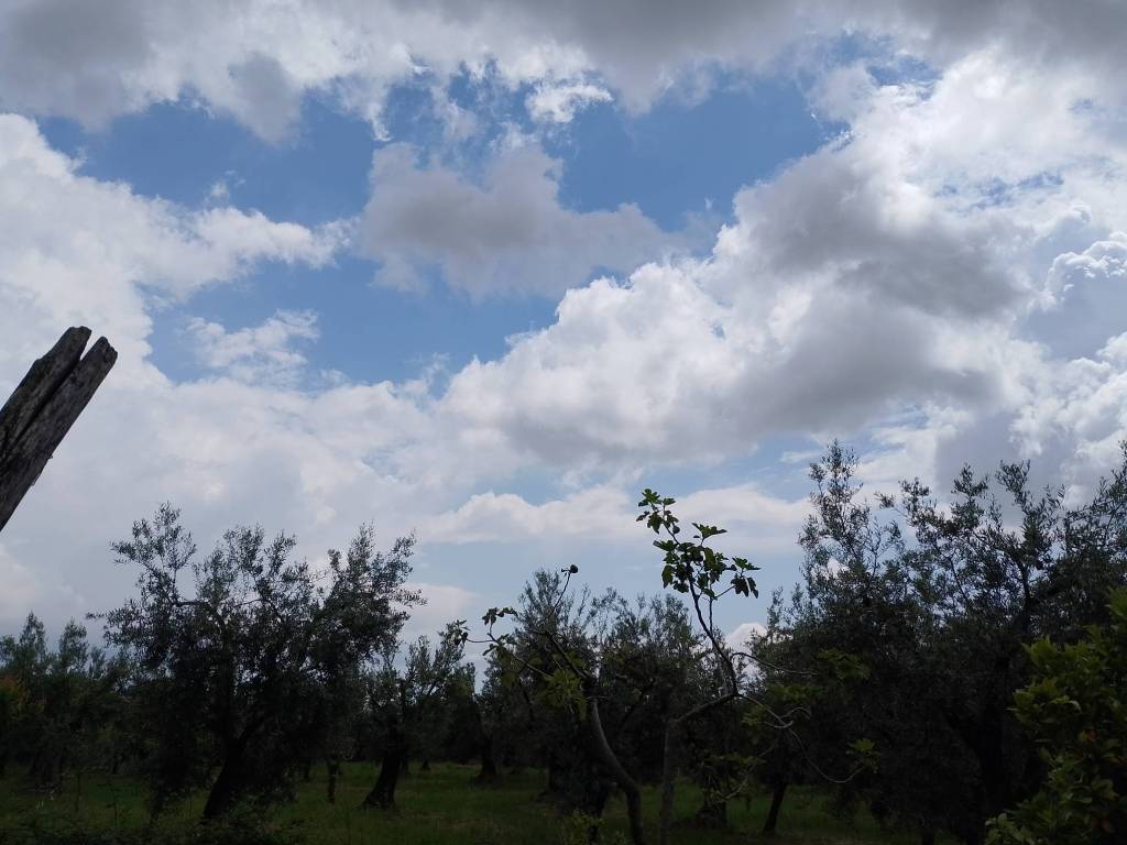 Terreno a Cori in Via Cori-Cisterna - Foto 3