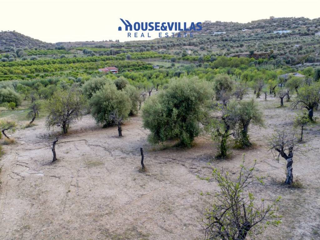 Terreno a Avola in contrada mammanelli - Foto 5