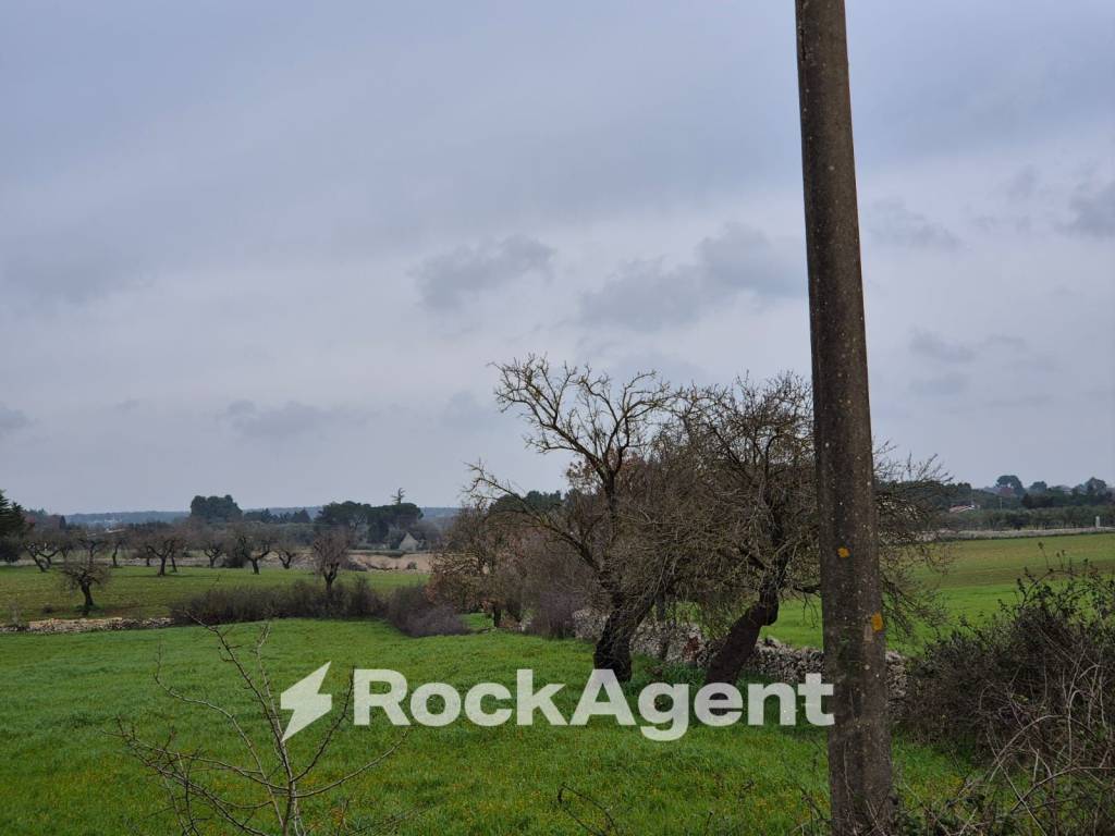 Rustico / casale a Gioia del colle in Carraro dei Girardi - Foto 3