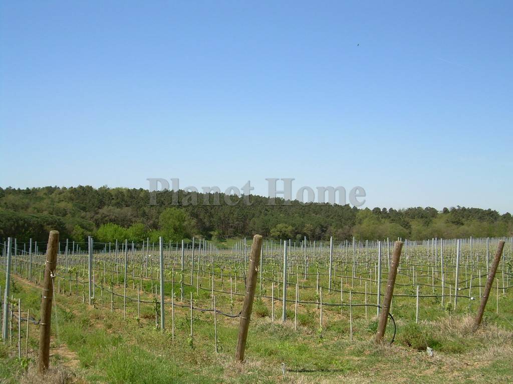 Rustico / casale a Castiglione del lago - Foto 2