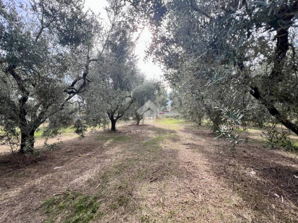 Terreno a Teramo in Via G. Galilei - Foto 3