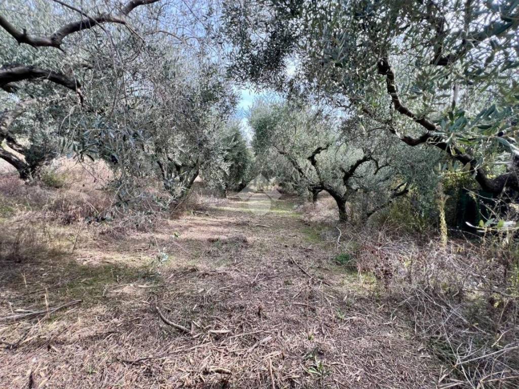 Terreno a Teramo in Via G. Galilei - Foto 4