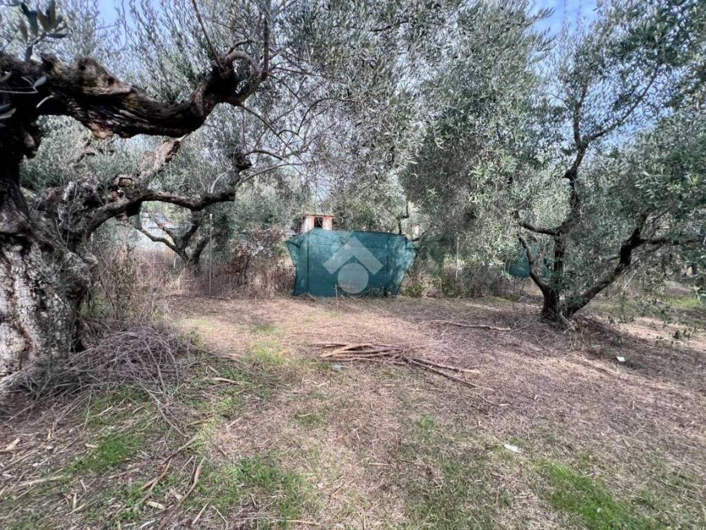 Terreno a Teramo in Via G. Galilei - Foto 5