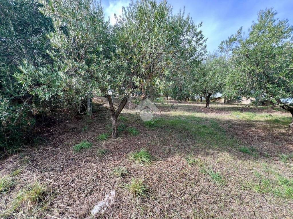 Terreno a Roseto degli abruzzi in Strada provinciale - Foto 2