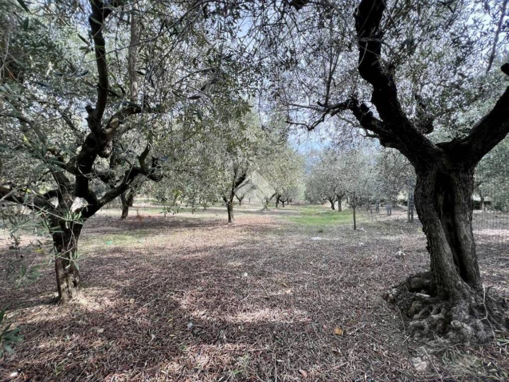 Terreno a Roseto degli abruzzi in Strada provinciale - Foto 3