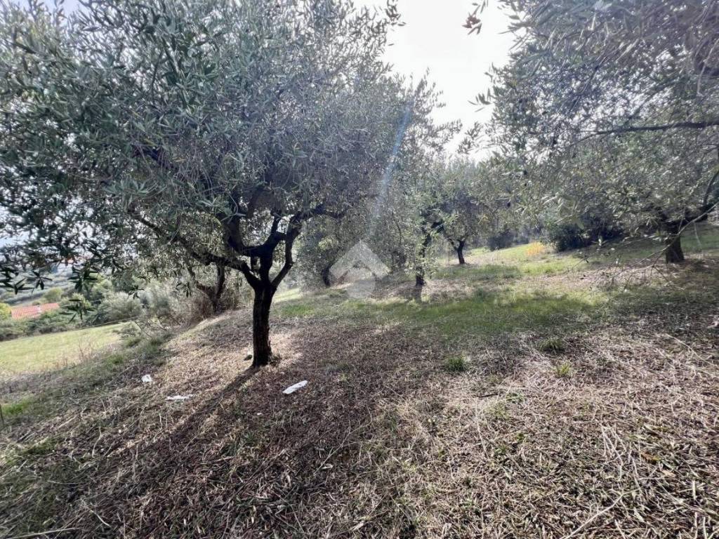 Terreno a Roseto degli abruzzi in Strada provinciale - Foto 4