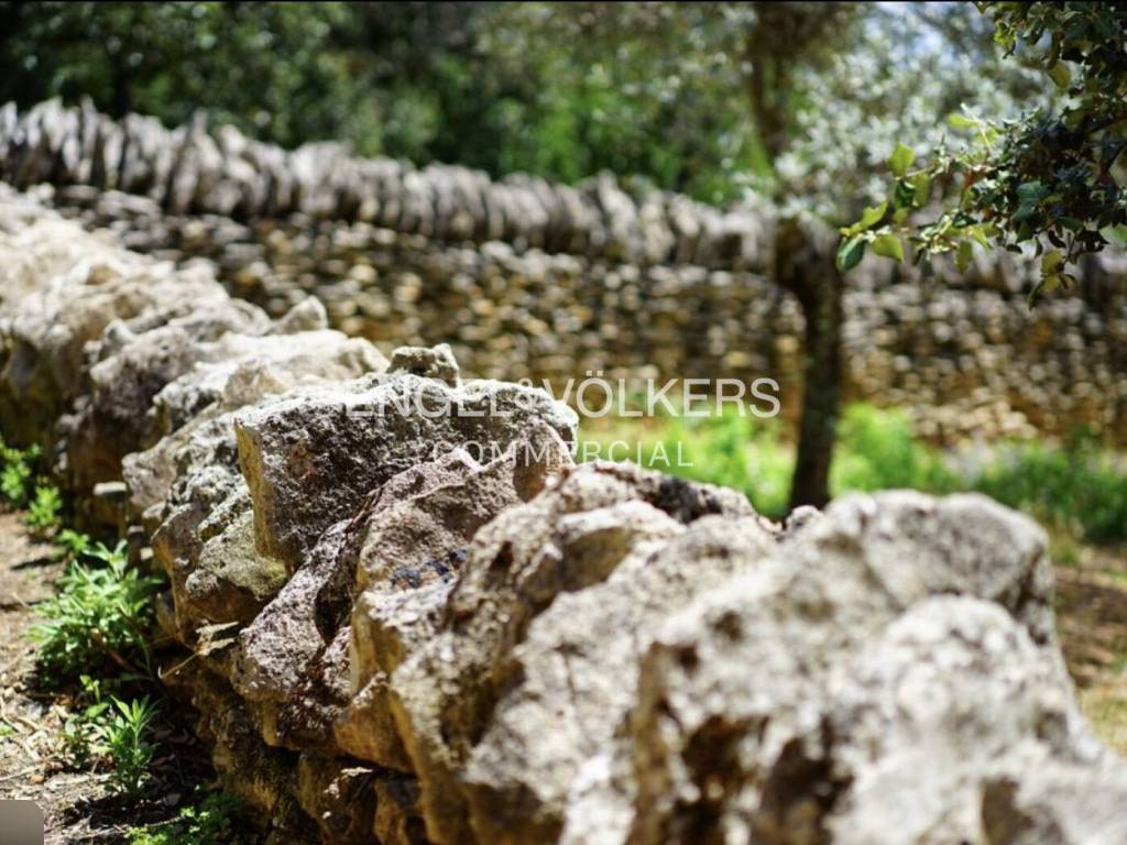 Palazzo / stabile a Noto - Foto 3