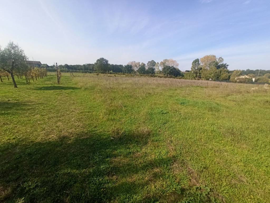 Terreno a Castiglione del lago in Strada Provinciale di Porto Tratto 1 - Foto 2