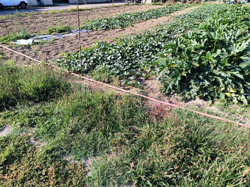 Terreno a Lugo in Via 2 Agosto, 18 - Foto 3