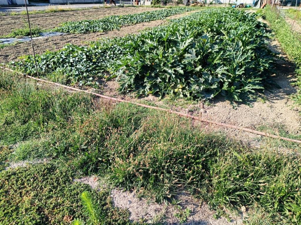Terreno a Lugo in Via 2 Agosto, 18 - Foto 4