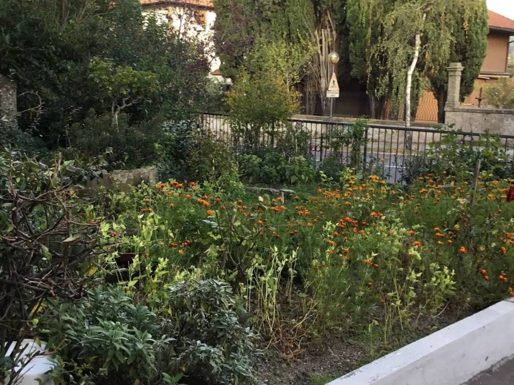 Appartamento a Castel del piano in Castel Del Piano - Foto 4