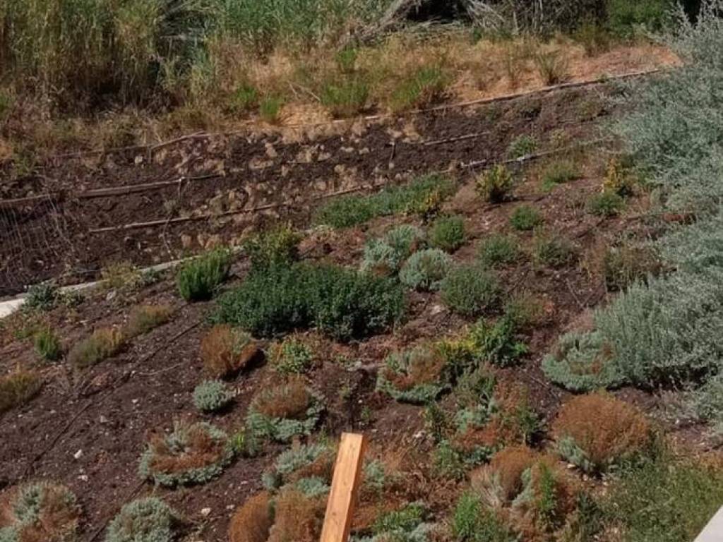 Appartamento a Castiglione della pescaia in Castiglione - Foto 2