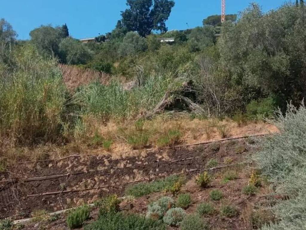Appartamento a Castiglione della pescaia in Castiglione - Foto 3