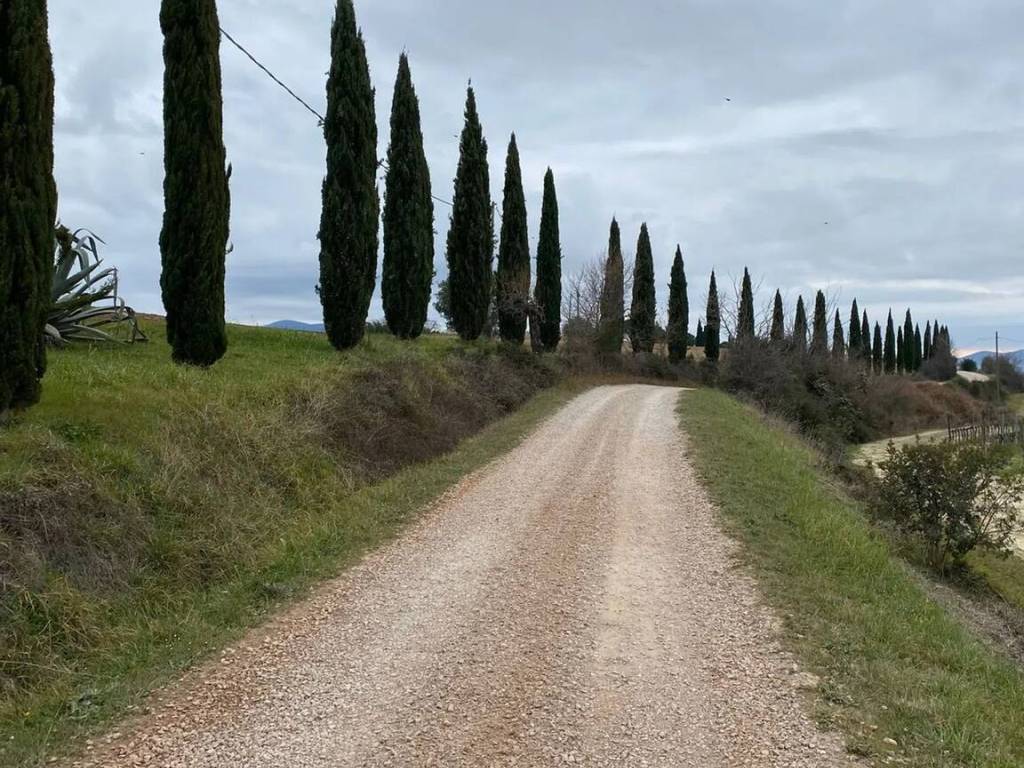 Rustico / casale a Roccastrada in Via Pian Del Bichi - Foto 5