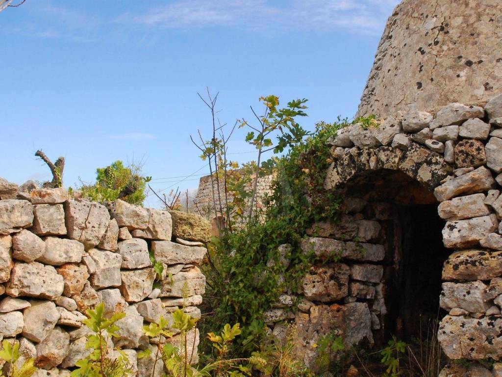 Rustico / casale a Morciano di leuca in Strada Comunale Nepole - Foto 3