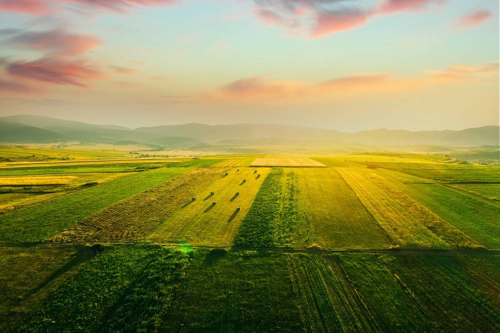 Terreno a Brembate in Via San Fermo - Foto 5