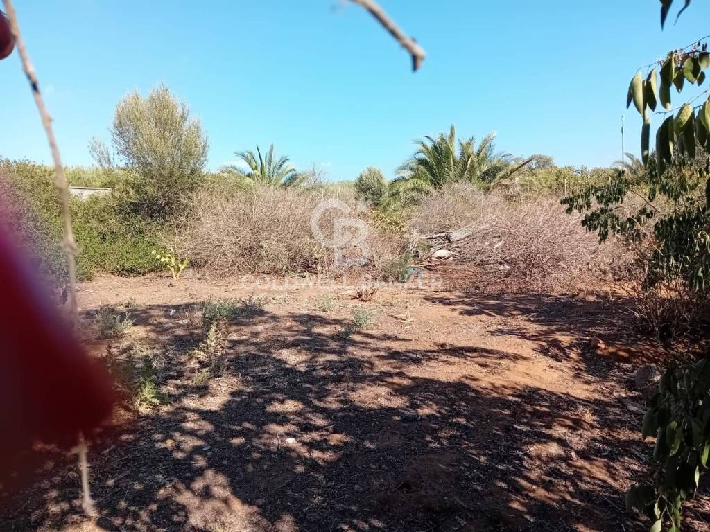 Terreno a Vittoria - Foto 2