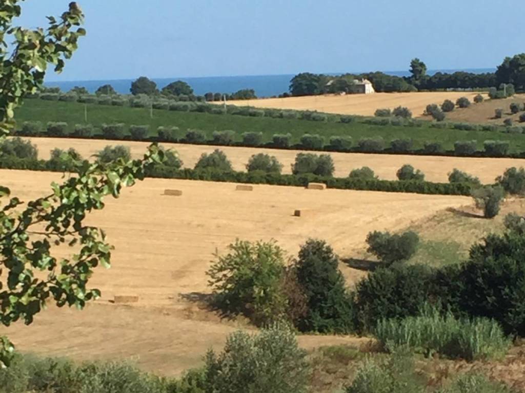 Terreno a Colonnella - Foto 5