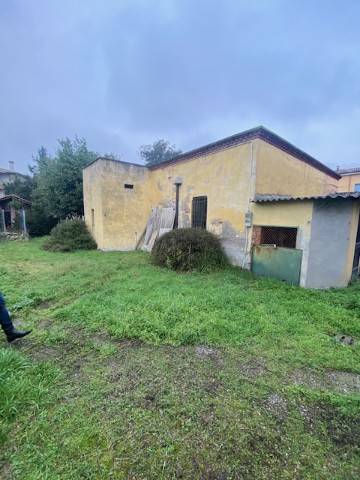 Villa a San giorgio bigarello - Foto 5