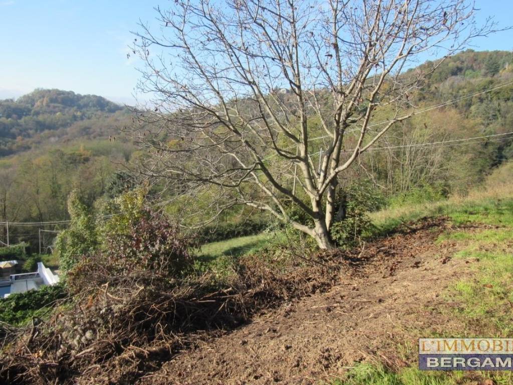 Terreno a Trescore balneario - Foto 4
