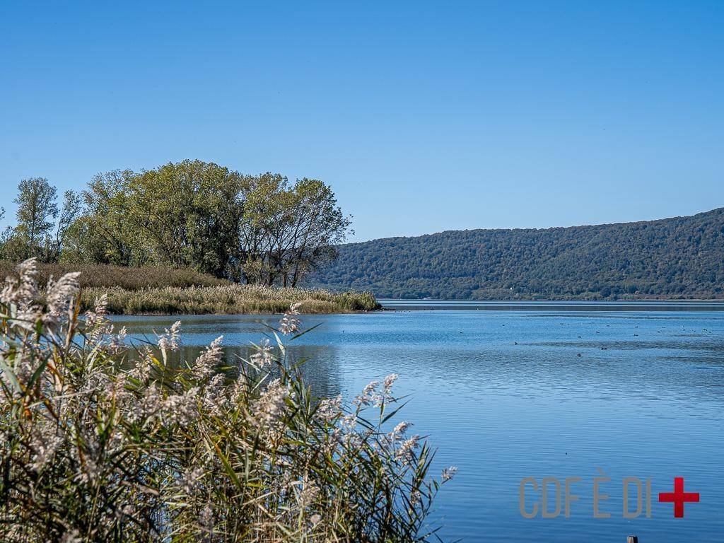 Rustico / casale a Caprarola - Foto 4