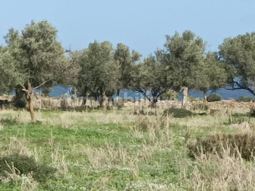 Terreno a Cinisi in Via Sandro Pertini - Foto 4
