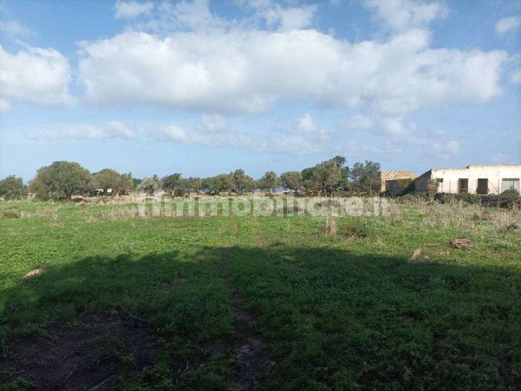 Terreno a Cinisi in Via Sandro Pertini - Foto 5