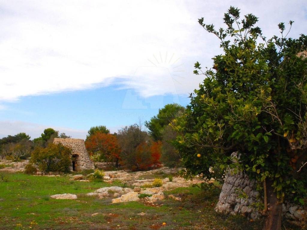 Terreno a Morciano di leuca in Strada Comunale Nepole - Foto 2