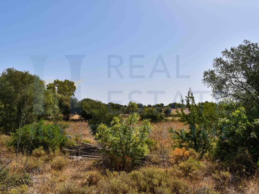 Villa a Noto in Via Tommaso Fazello, 228 - Foto 2