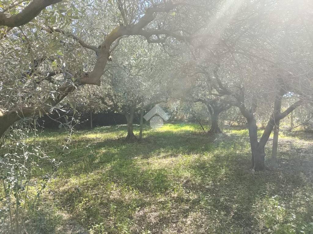 Terreno a Marsala in Via vaiarassa - Foto 2