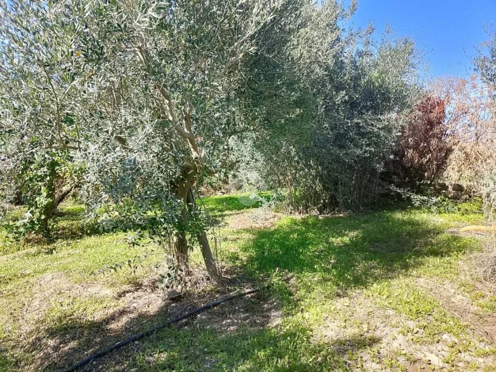 Terreno a Marsala in Via vaiarassa - Foto 3