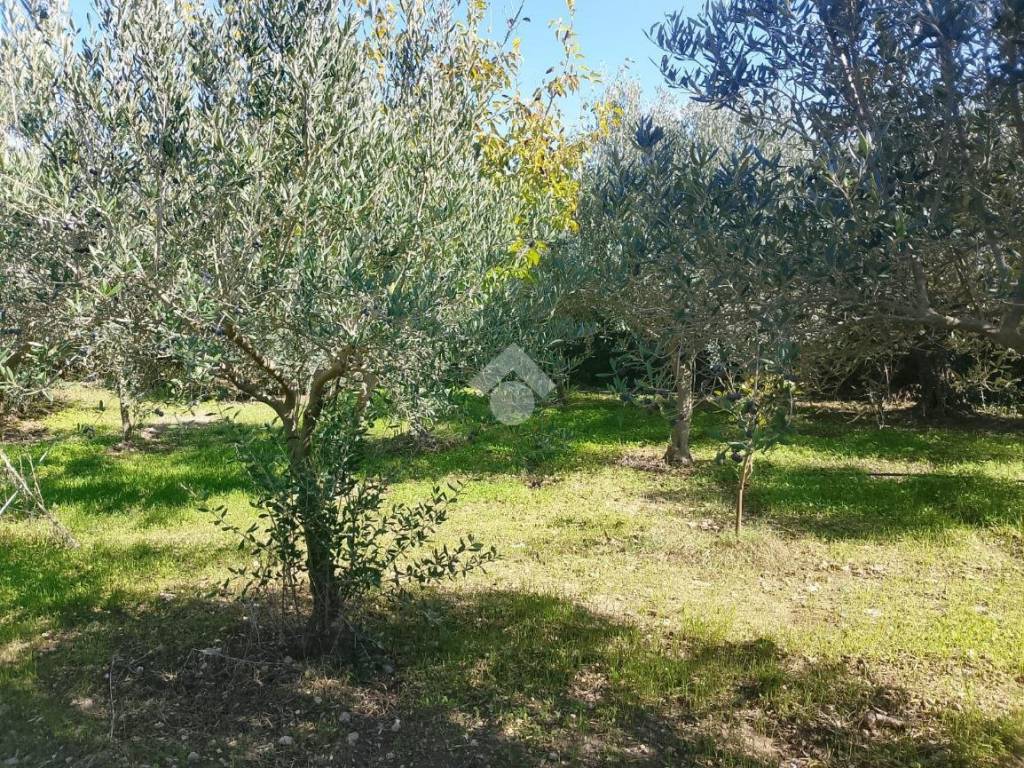 Terreno a Marsala in Via vaiarassa - Foto 4