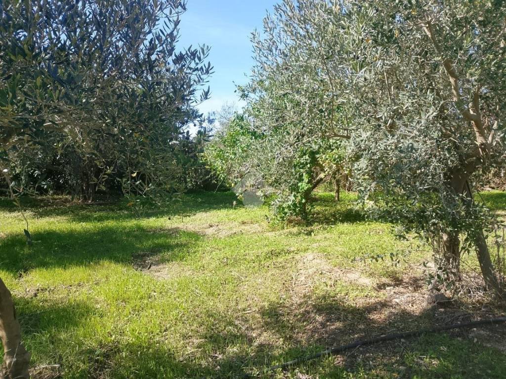 Terreno a Marsala in Via vaiarassa - Foto 5