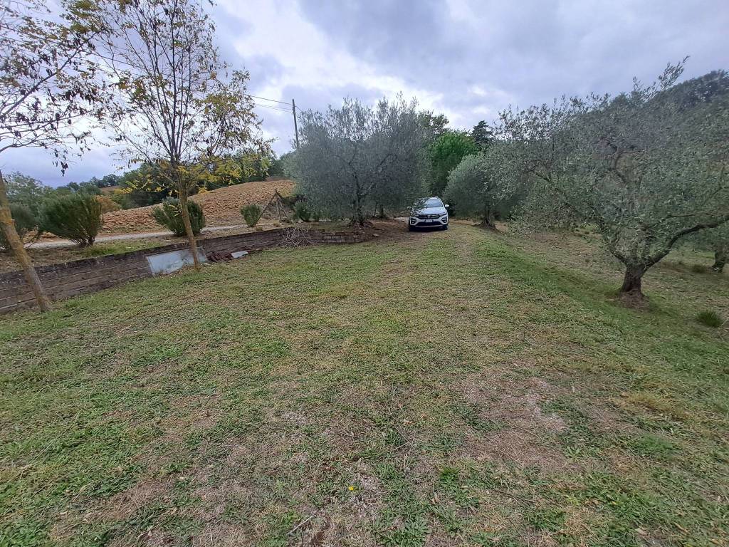 Terreno a Cinigiano in Strada Consortile del Salcio - Foto 2