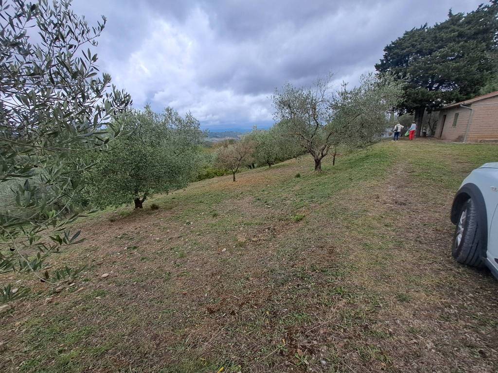 Terreno a Cinigiano in Strada Consortile del Salcio - Foto 4