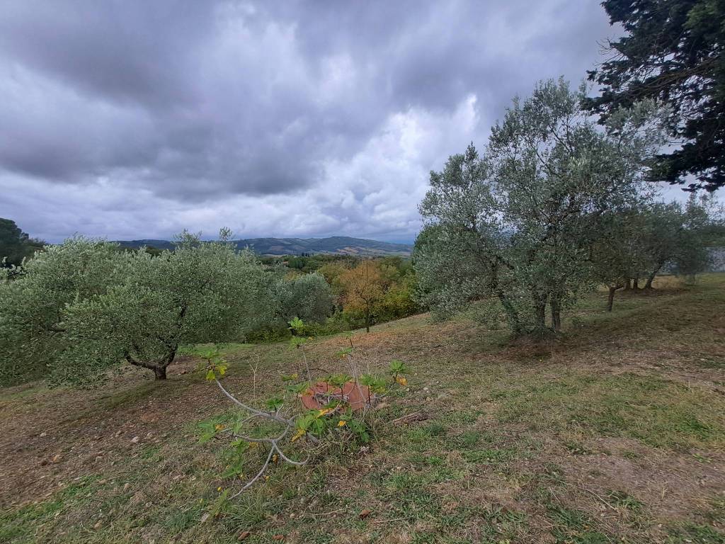 Terreno a Cinigiano in Strada Consortile del Salcio - Foto 5