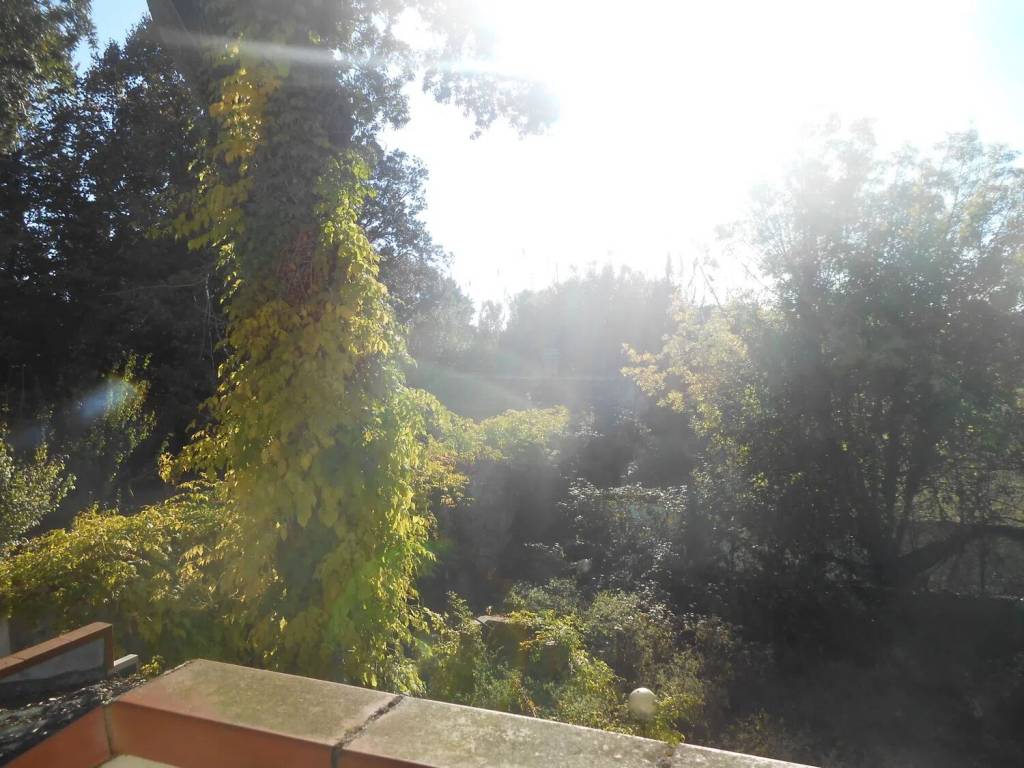 Villa a Viareggio in Via Del Magazzeno - Foto 5