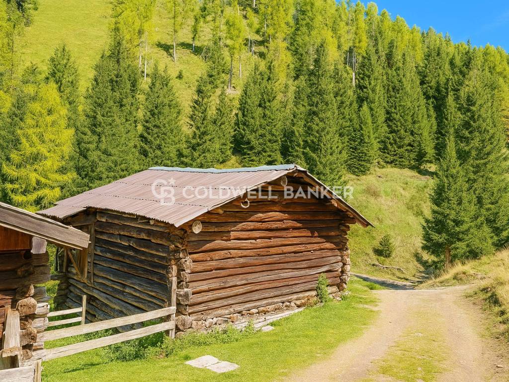 Rustico / casale a San giovanni di fassa in val jumela - Foto 2