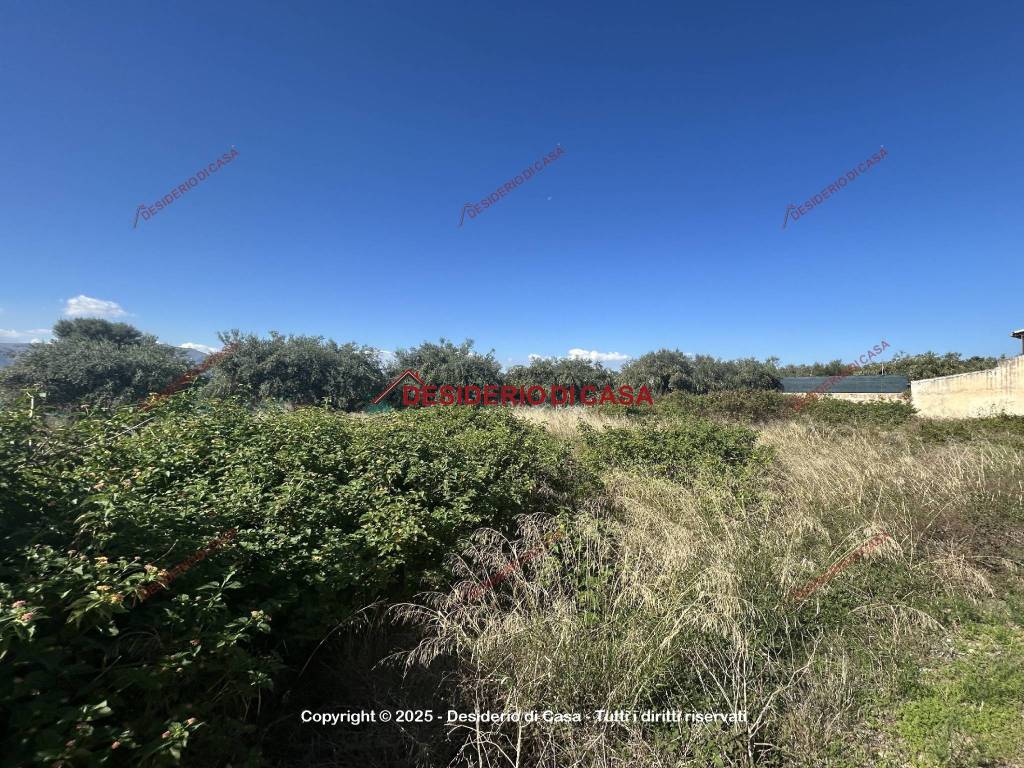 Terreno a Bagheria in Strada Comunale Cotogni - Foto 2