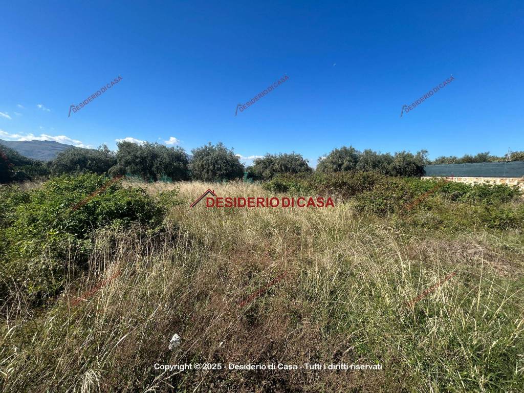 Terreno a Bagheria in Strada Comunale Cotogni - Foto 3