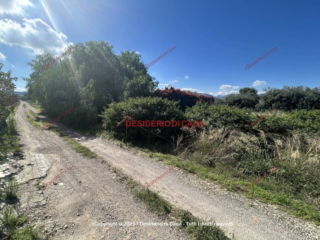 Terreno a Bagheria in Strada Comunale Cotogni - Foto 5