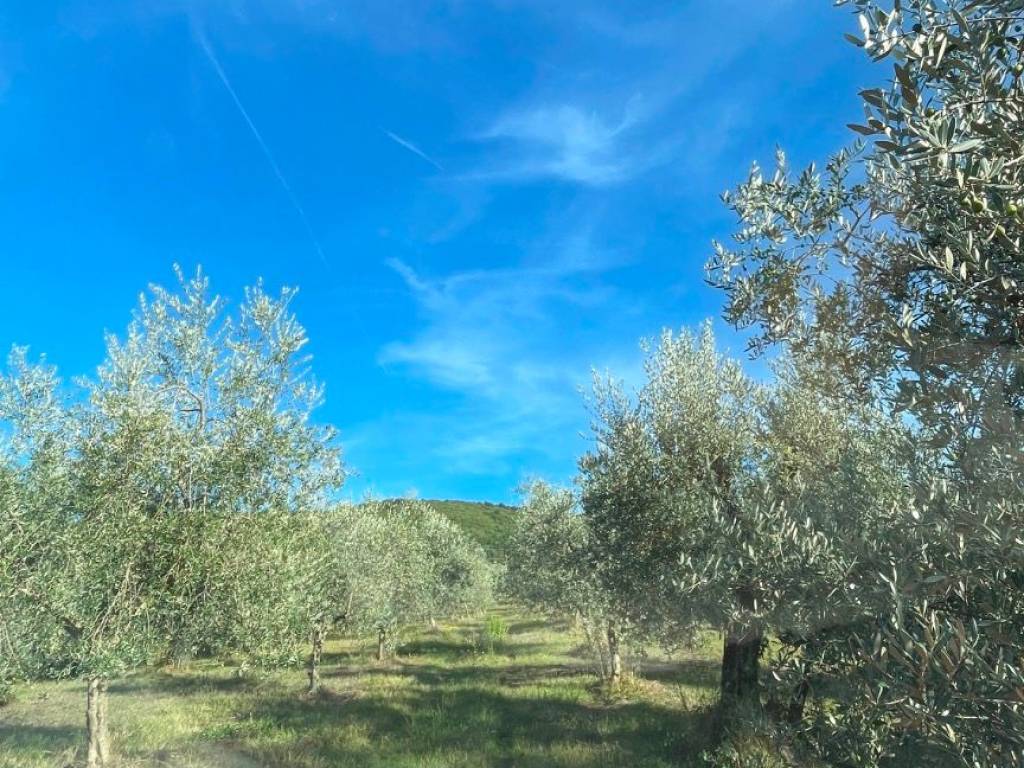 Terreno a Fiesole in Via dei Bosconi - Foto 2