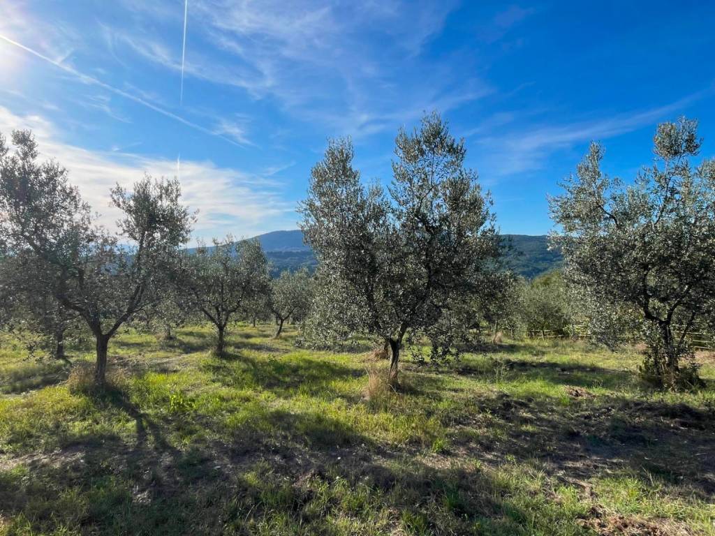 Terreno a Fiesole in Via dei Bosconi - Foto 3