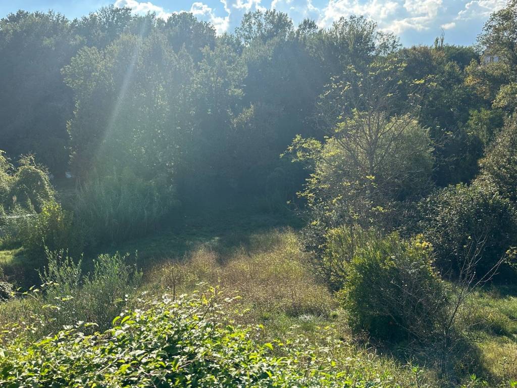 Immobile a Frosinone in Via Vetiche, 14 - Foto 3