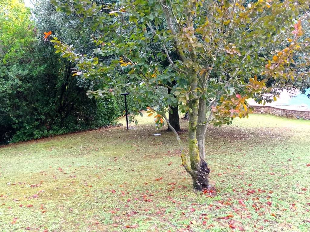 Rustico / casale a Gambassi terme - Foto 5
