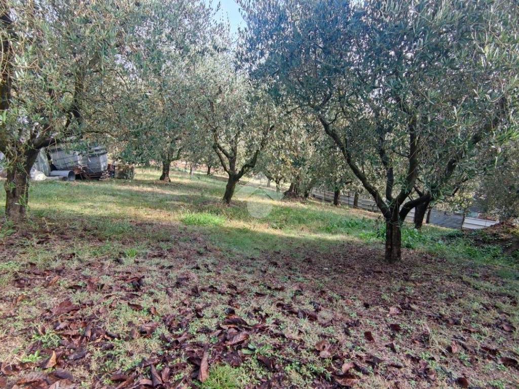 Terreno a Valfabbrica in Via Placido Nicolini - Foto 2