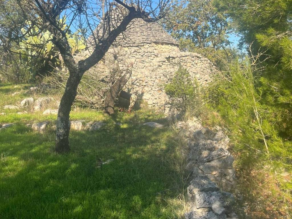Rustico / casale a Castellana grotte in Strada Comunale Vito d'Impero - Foto 3
